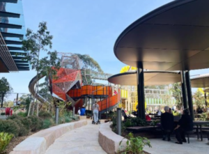 Half Day Videography / Photography