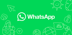 Starter WhatsApp Management (Monthly)